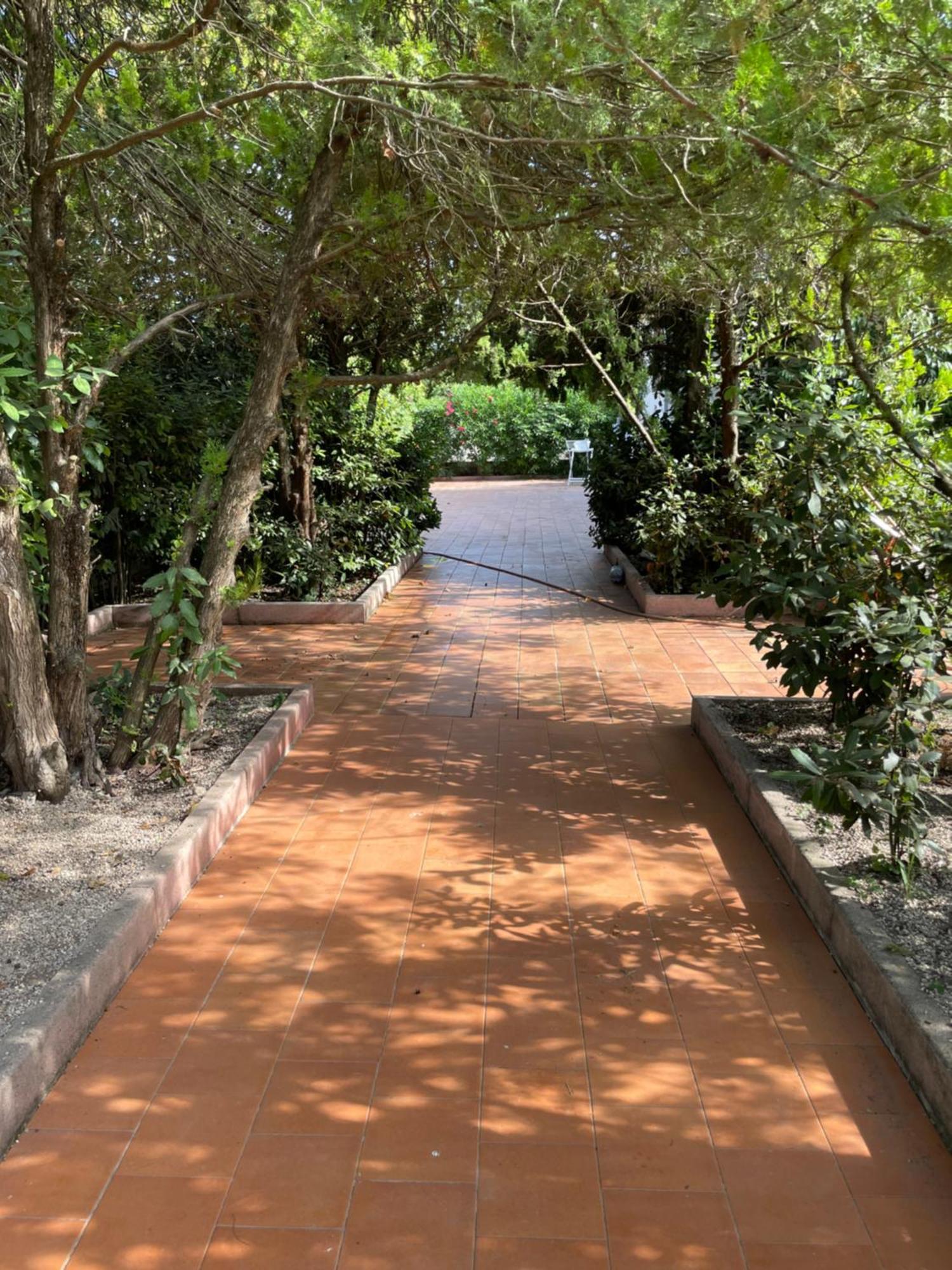 Gasthof Nina House Paestum